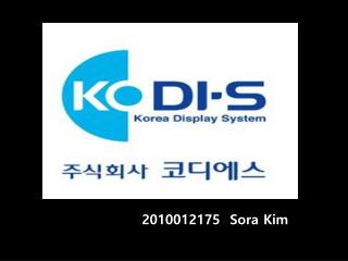 2010012175 Sora Kim