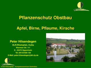 Pflanzenschutz Obstbau Apfel, Birne, Pflaume, Kirsche