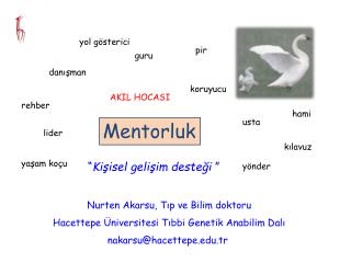 Mentorluk