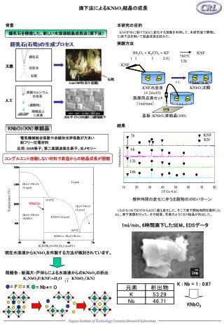 　滴下法による KNbO 3 結晶の成長　