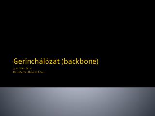 Gerinchálózat ( backbone ) 3. szóbeli tétel Készítette: Brinzik Ádám