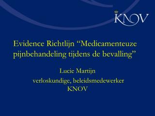 Evidence Richtlijn “Medicamenteuze pijnbehandeling tijdens de bevalling”