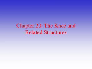 Chapter 20: The Knee and Related Structures