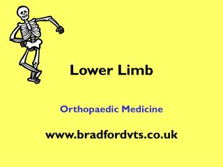 Lower Limb