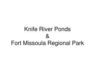 Knife River Ponds &amp; Fort Missoula Regional Park