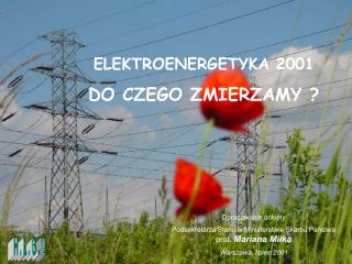 ELEKTROENERGETYKA 2001 DO CZEGO ZMIERZAMY ?