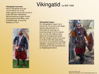 Vikingatida krigare
