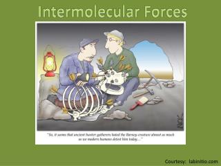 Intermolecular Forces