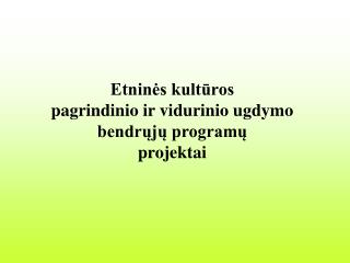 Etninės kultūros pagrindinio ir vidurinio ugdymo bendrųjų programų projektai