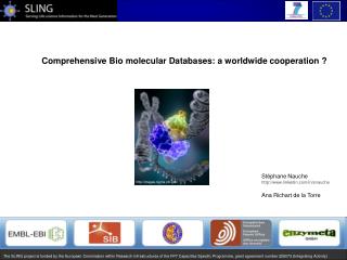Comprehensive Bio molecular Databases: a worldwide cooperation ?