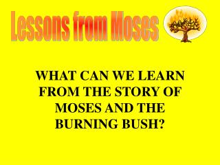 Lessons from Moses