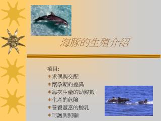 海豚的生殖介紹