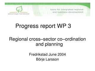 Progress report WP 3 Regional cross–sector co–ordination and planning