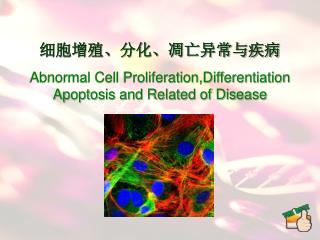 细胞增殖、分化、凋亡异常与疾病 Abnormal Cell Proliferation,Differentiation Apoptosis and Related of Disease