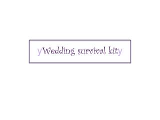 y Wedding survival kit y