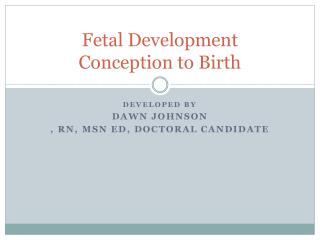 Fetal Development Conception to Birth
