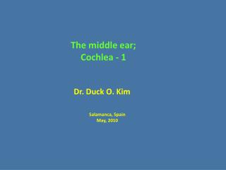 The middle ear; Cochlea - 1