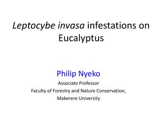 Leptocybe invasa infestations on Eucalyptus