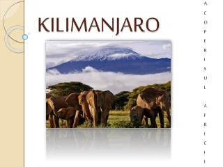 KILIMANJARO