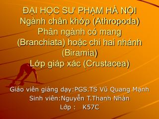 Giáo viên giảng dạy:PGS.TS Vũ Quang Mạnh Sinh viên:Nguyễn T.Thanh Nhàn Lớp : K57C