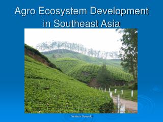 Agro Ecosystem Development in Southeast Asia