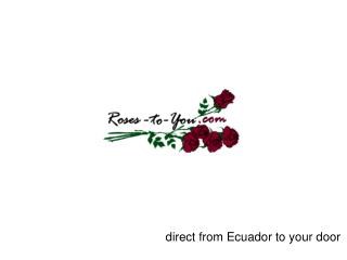 direct from Ecuador to your door