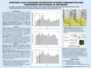 CONSTANT LIGHT EXPOSURE POTENTIATES ETHANOL CONSUMPTION AND PREFERENCE FOR ETHANOL IN THE MOUSE