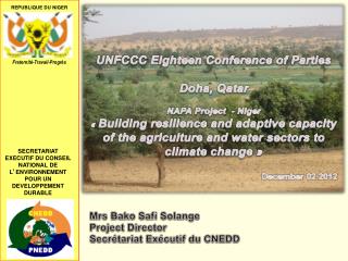 UNFCCC Eighteen Conference of Parties Doha, Qatar NAPA Project - Niger