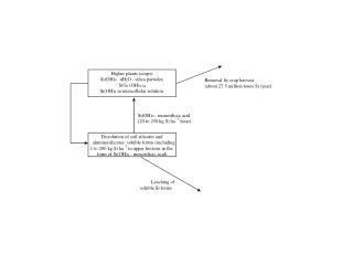 Dissolution of soil silicates and