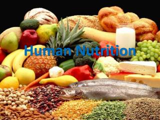 Human Nutrition