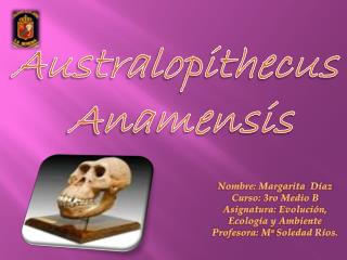 Australopithecus Anamensis