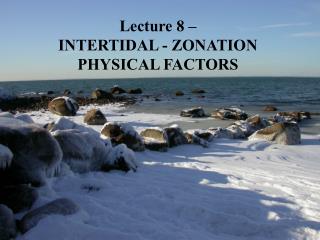 Lecture 8 – INTERTIDAL - ZONATION PHYSICAL FACTORS