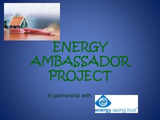 ENERGY AMBASSADOR PROJECT