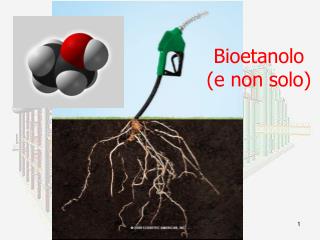 Bioetanolo (e non solo)