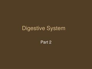 Digestive System