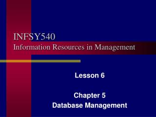 INFSY540 Information Resources in Management