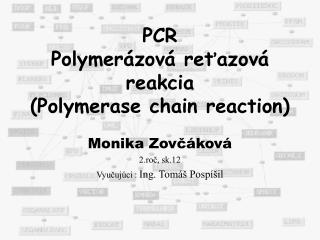 PCR Polymerázová reťazová reakcia (Polymerase chain reaction)