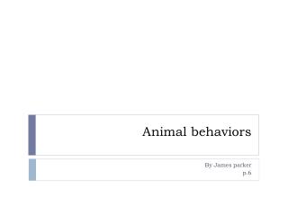 Animal behaviors