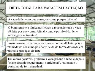 DIETA TOTAL PARA VACAS EM LACTAÇÃO