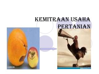 KEMITRAAN USAHA PERTANIAN