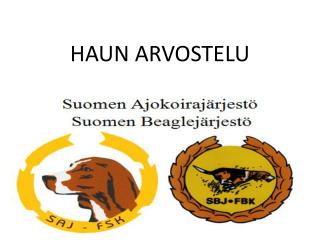 HAUN ARVOSTELU