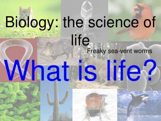 Biology: the science of life