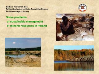 Barbara Radwanek-Bąk Polish Geological Institute -Carpathian Branch Polias Geological Survey