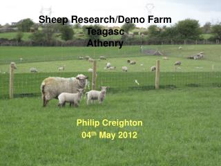 Sheep Research/Demo Farm Teagasc Athenry