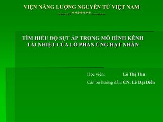 VIỆN NĂNG LƯỢNG NGUYÊN TỬ VIỆT NAM ------- ******* -------