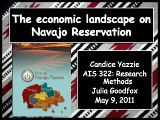 The economic landscape on Navajo Reservation