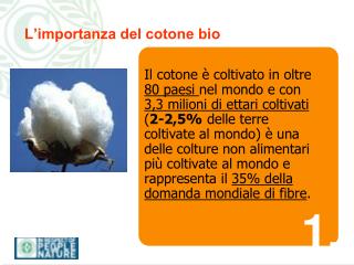 L’importanza del cotone bio
