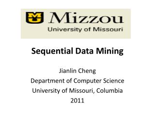 Sequential Data Mining