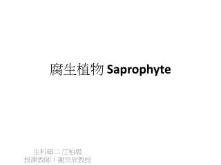 腐生植物 S aprophyte
