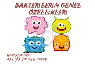 BAKTERİLERİN GENEL ÖZELLİKLERİ